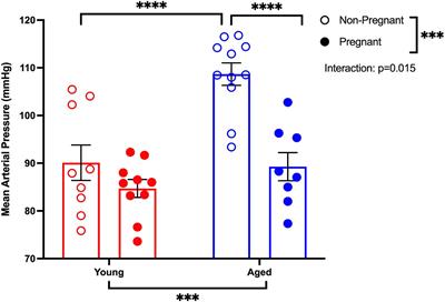 Altered Vascular Adaptations to Pregnancy in a Rat Model of Advanced Maternal Age